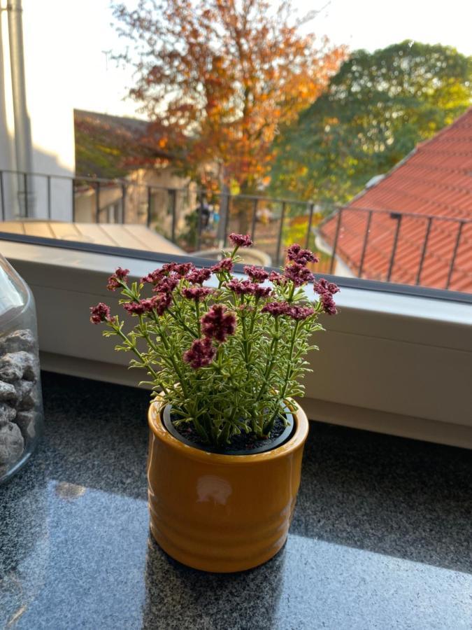 Gasthaus Zur Post Uetze Zewnętrze zdjęcie